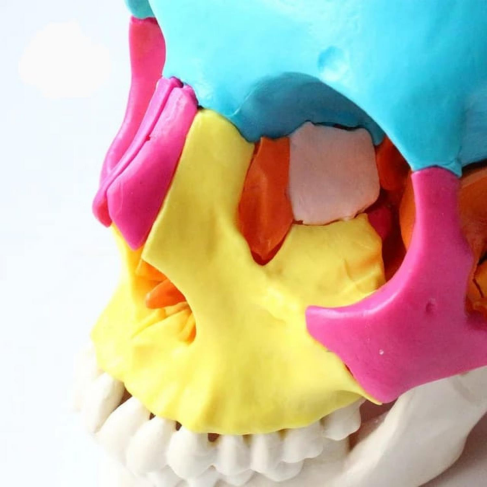 Kafa Maketi 22 Parça Normal Boy Model 35